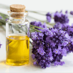 Lavender, we love it and this is why. History, Beauty, and Hidden Benefits. A powerhouse in natural skincare and wellness. Mineral Free Makeup
